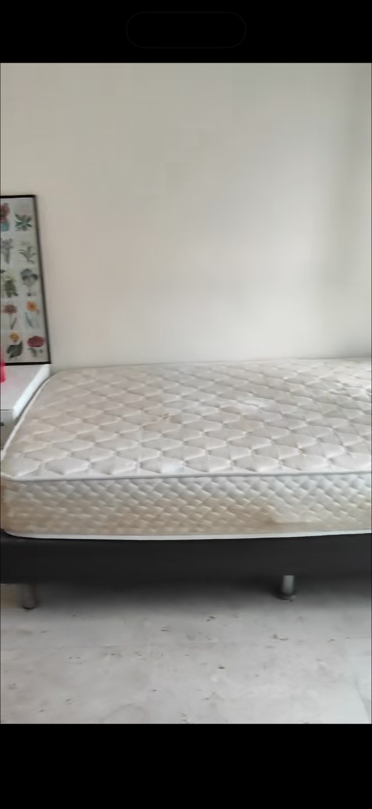 巴耶利峇 床位 · 包水电 · $500/月 图片 2