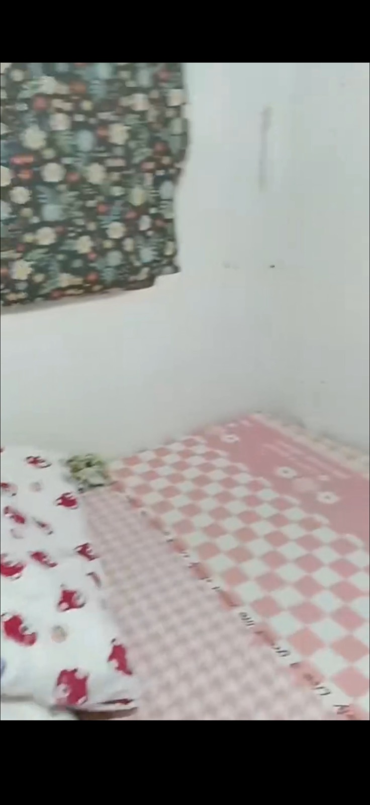 淡滨尼 521139大牌139。隔间 800块
