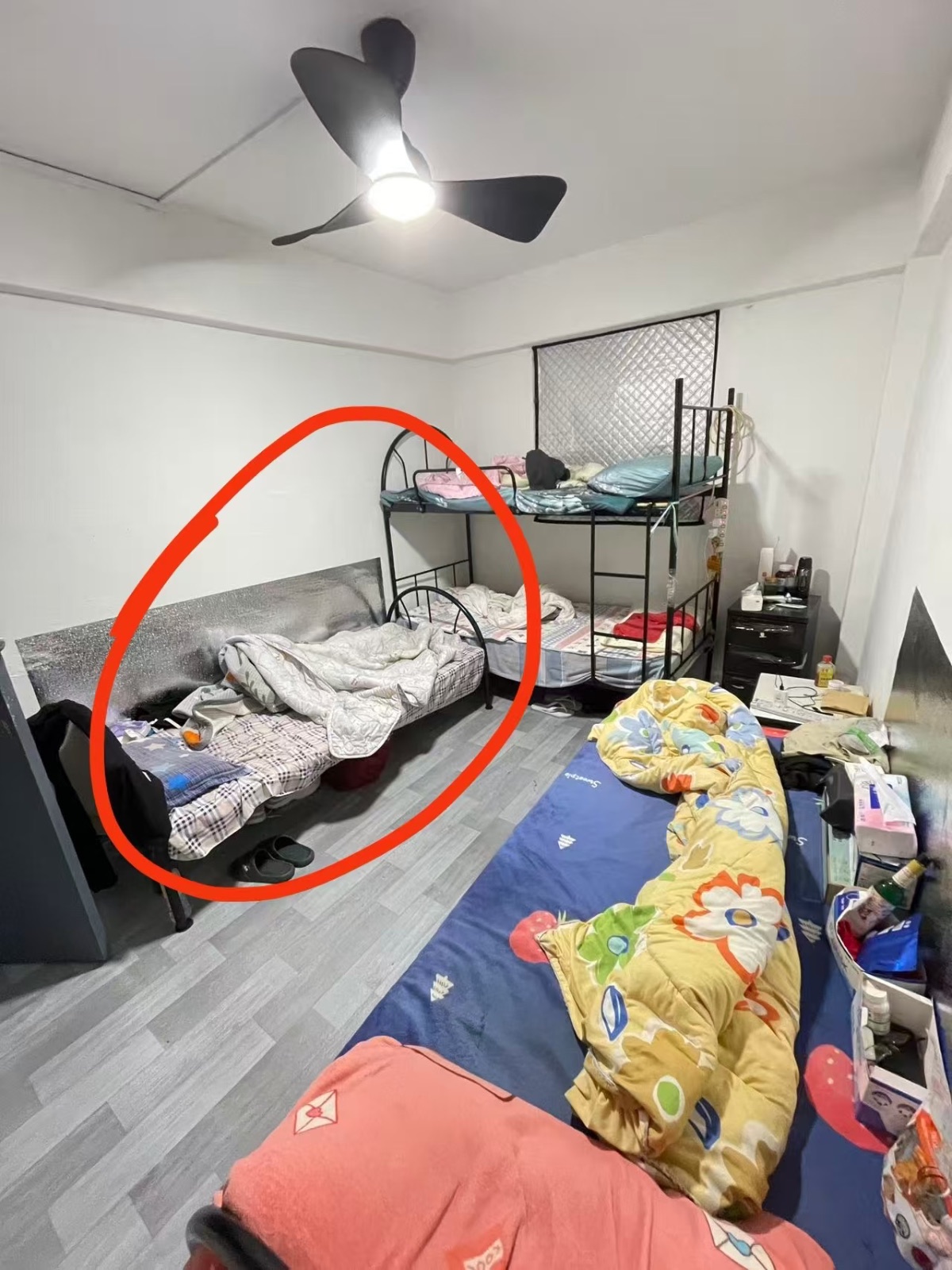裕华园 男床位 · 可煮 · $450/月单人床 图片 2