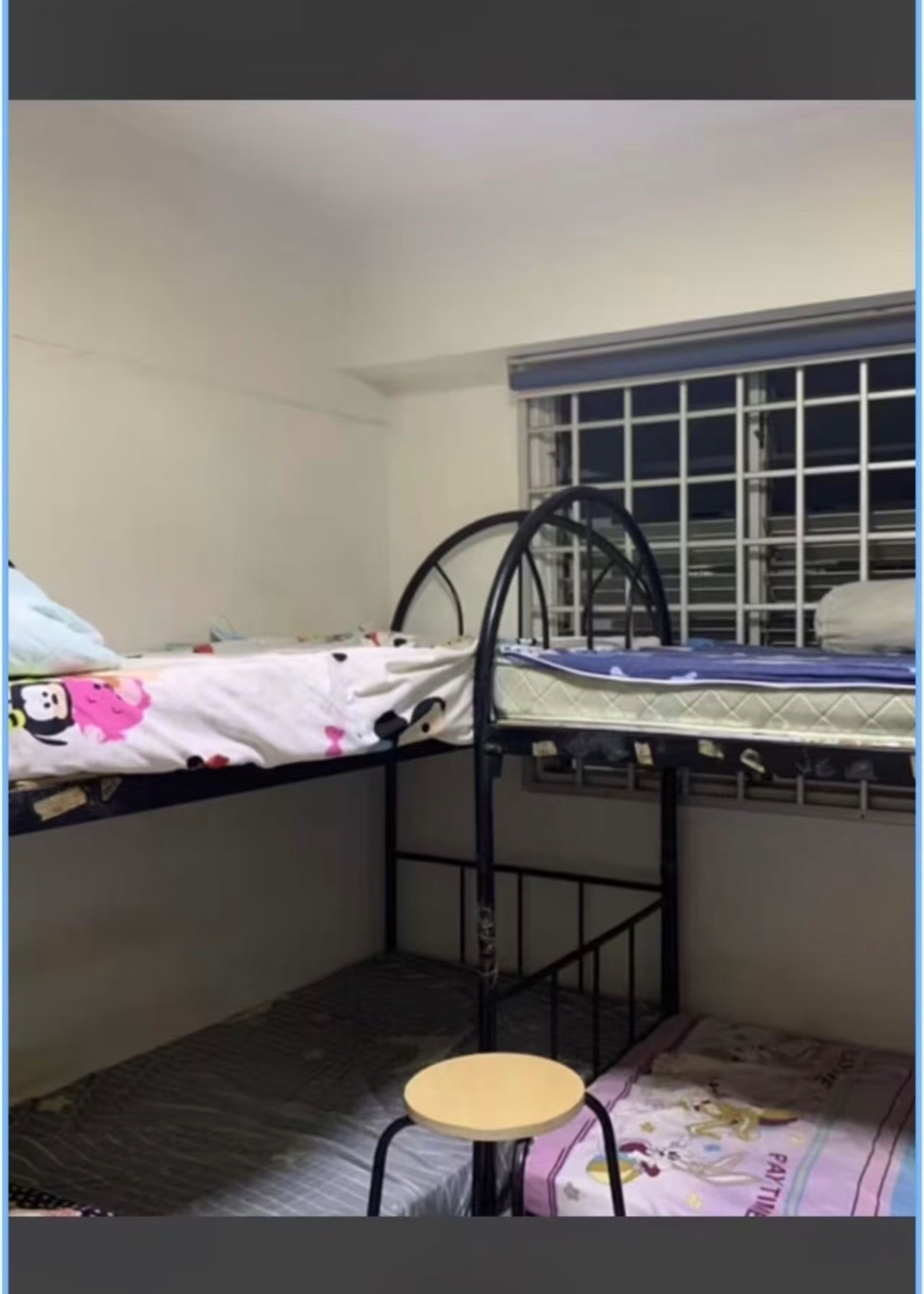 Commonwealth 联邦女床位 · 4人间可煮370块没有本屋地址