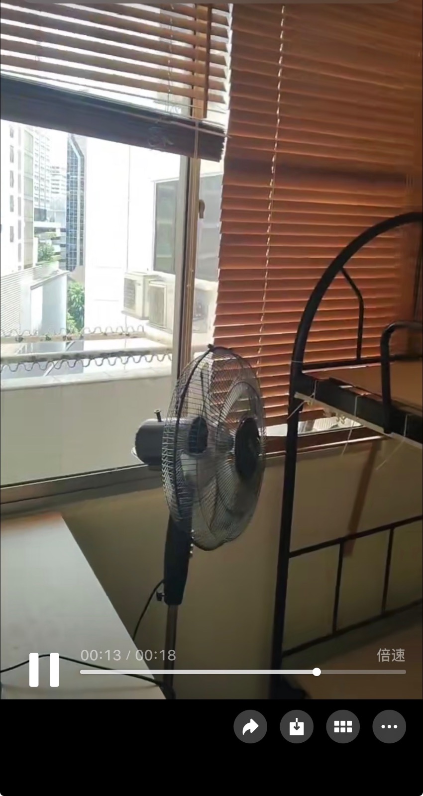 乌节路公寓单间。有窗户。可以单人$800 双人 1200。 任何行业 可以做饭 邮编229001 图片 3