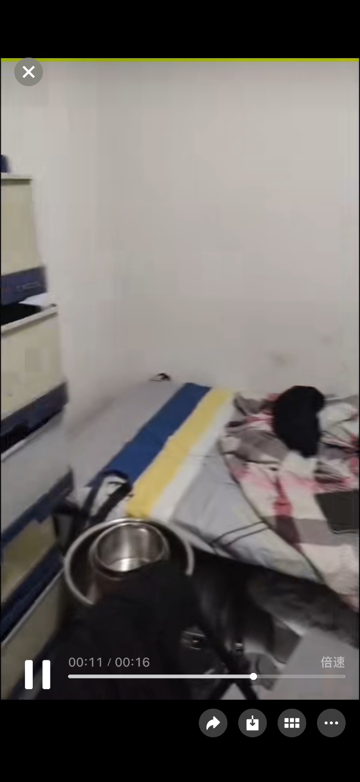 红山 单间 · $600/月一人住制造业服务业都可以 图片 2