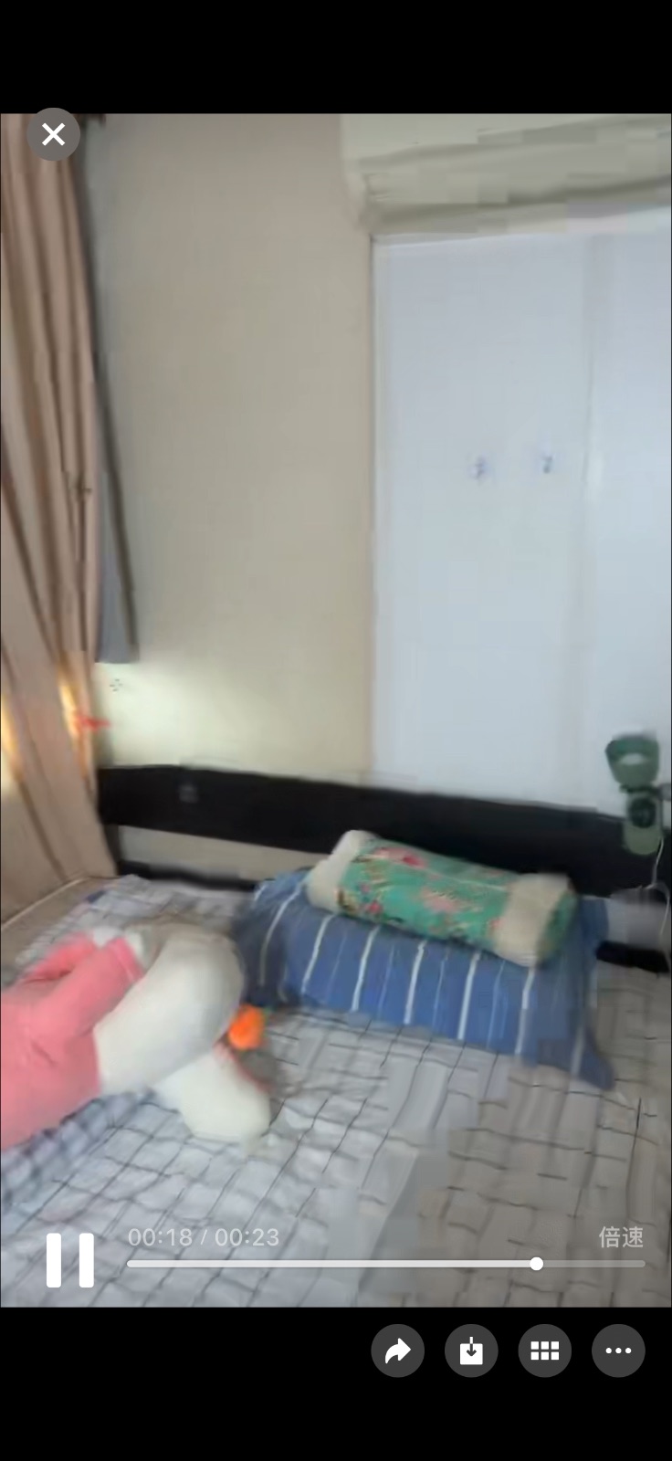 裕廊东 夫妻间  有空调 有窗户 大隔间 邮编602288随时入住可以煮饭 价格$950 只有服务业地址 图片 4