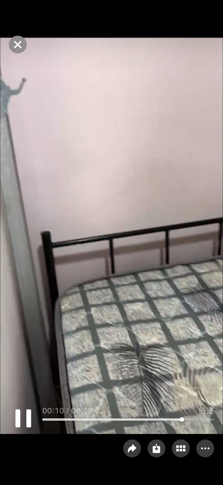 510191巴西力储藏室一个带空调 煮饭带空调450不带空调400没有本屋地址
