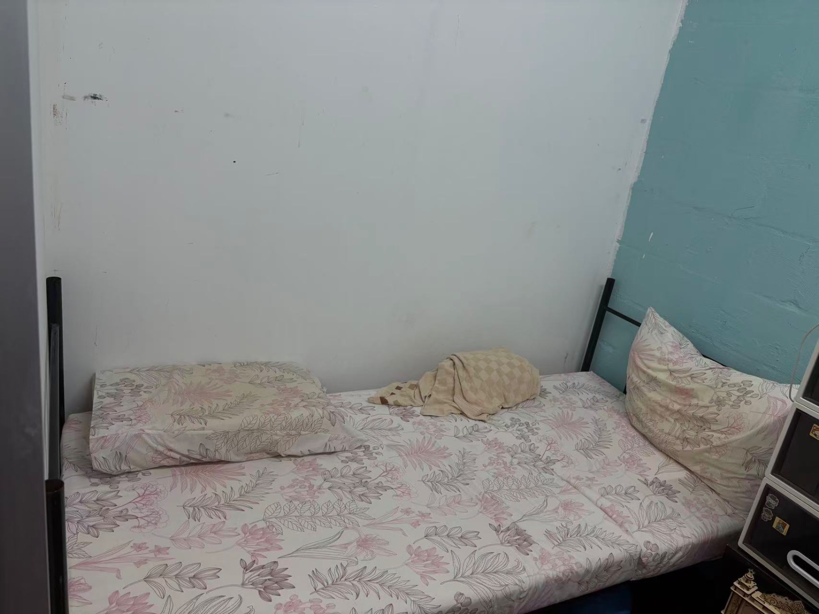 巴耶利峇 男床位 · 近地铁 · 包水电 · $450/月